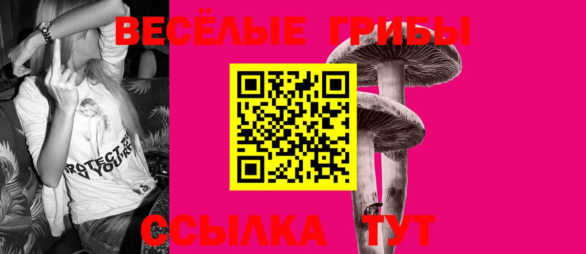 Псилоцибиновые грибы Magic Shrooms Светлоград