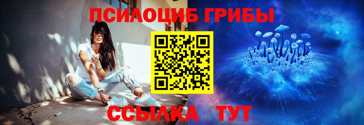 Светлоград  купить   Псилоцибиновые грибы Psilocybe  Вход с VPN  Галлюциногенные грибы Psilocybe 