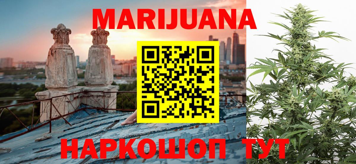 Канабис OG Kush Светлоград